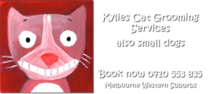Kylies Cat grooming services