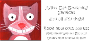 Kylies Cat Grooming Services and also all dogs too!