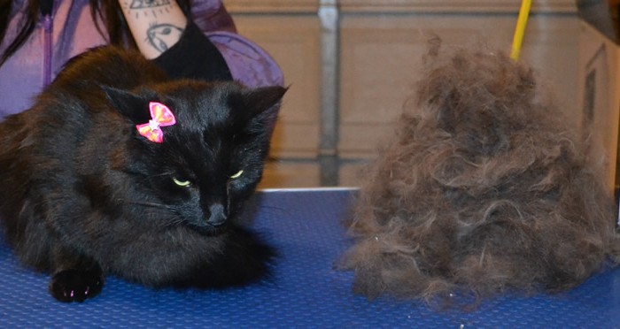 Salem