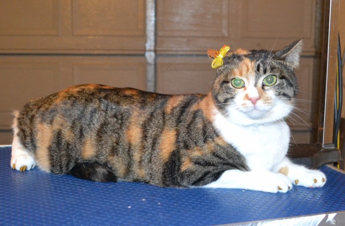 Mindy