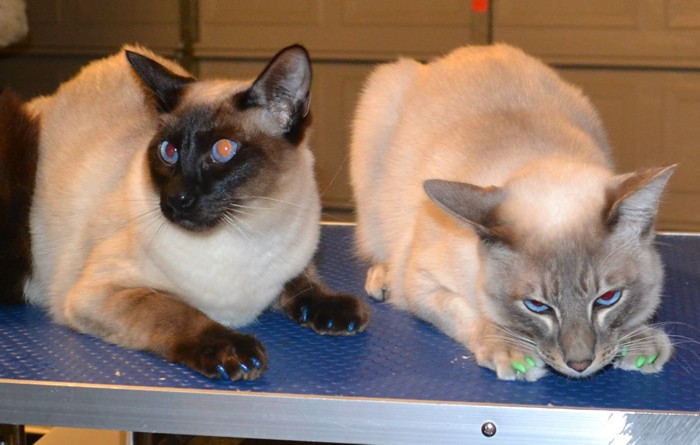Keiko and Monty
