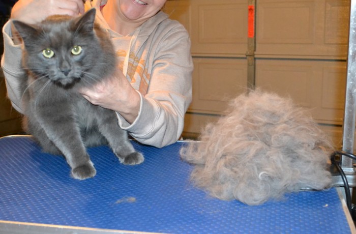Fluffy