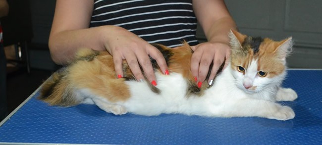 DSC_0789 (2)